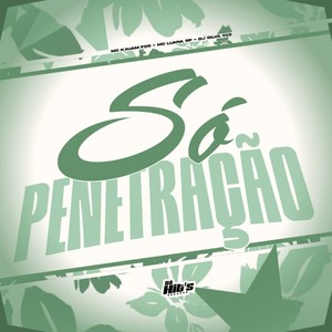 Só Penetração (Explicit)