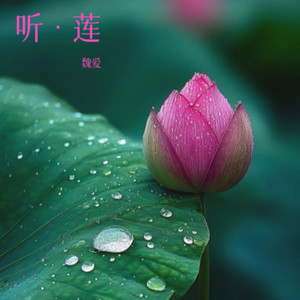 紫藤花开 - 魏爱封面