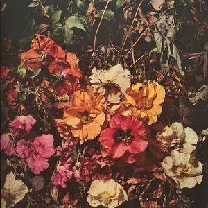 Live & Die (Live|Explicit)