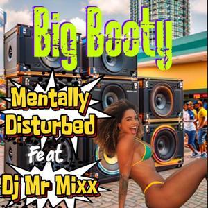 Big Booty (feat. Dj Mr Mixx) [Radio Edit]