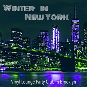 Winter in New York: Vinyl Lounge Party Club in Brooklyn