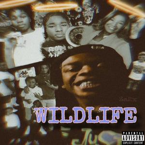 Rock The Party (feat. Li Scotty) (Explicit)