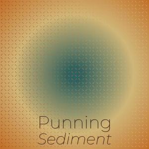 Punning Sediment