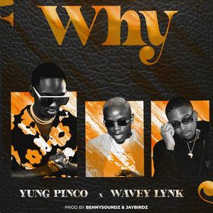 Why (feat. Wavey Lynk) [Explicit]