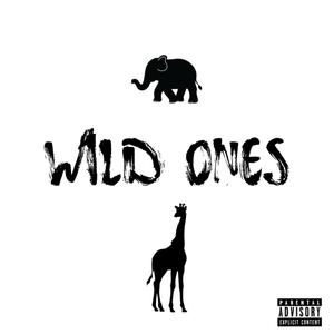 WILD ONES