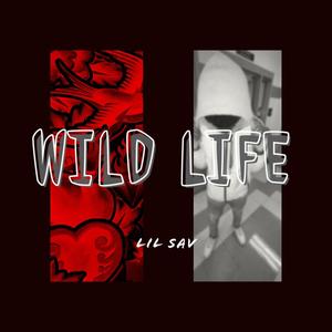 wild life (Explicit)