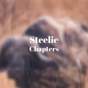 Steelie Chapters