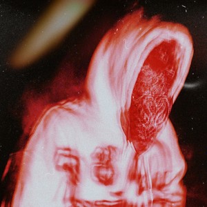 Lavande - MON PHŒNIX