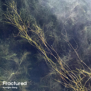 Fractured