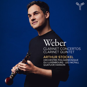 Clarinet Quintet, Op. 34: I. Allegro