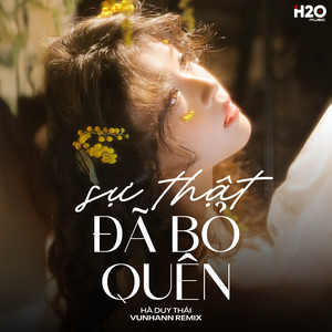 Sự Thật Đã Bỏ Quên (Remix)