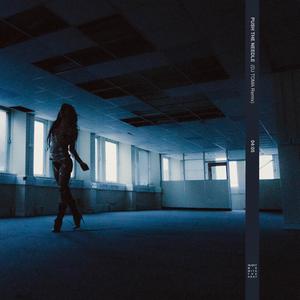 PUSH THE NEEDLE (DJ TOMA Remix)