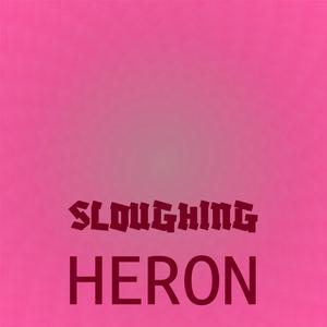 Sloughing Heron