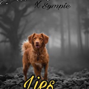 Lies(feat. Symple)