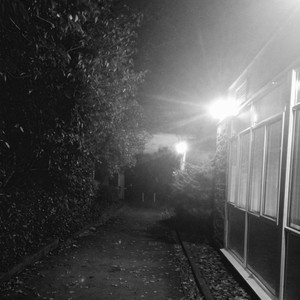 The Wonder Ring(1955)