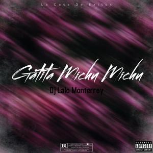 Gatita Michu Michu (Explicit)