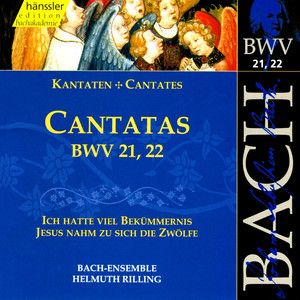 Jesus nahm zu sich die Zwolfe, BWV 22 - Aria: Mein Jesu, ziehe mich nach dir (Alto)