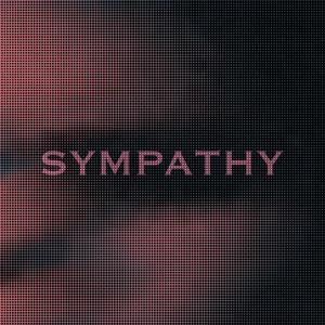 Sympathy (feat. Demolizer) [Explicit]