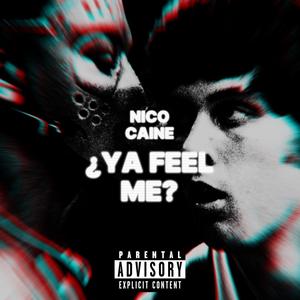 ¿Ya Feel Me? (Explicit)
