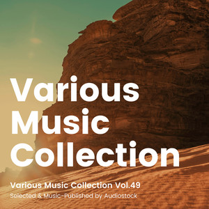Various Music Collection Vol.49 -Selected & Music-Published by Audiostock-