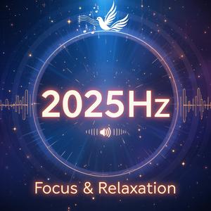 2025 HZ, Focus (Instrumental)