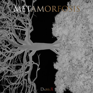 Metamorfosis