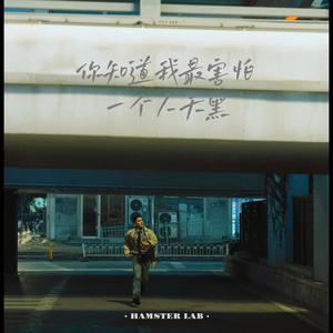 你知道我最害怕一个人天黑 (R&B氛围男版)封面