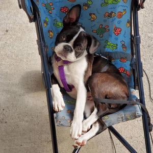 minecraft (feat. 10peas & tyyeson) (Explicit)