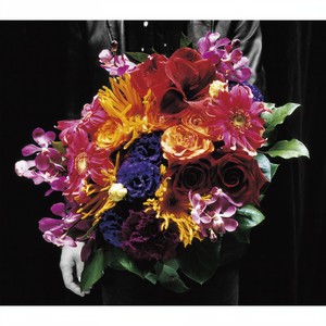 さよなら最終兵器 (再见了最终兵器)