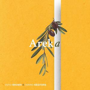 Areka (feat. Tariro NeGitare)