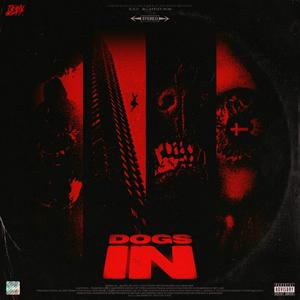 DOGS IN (Explicit)
