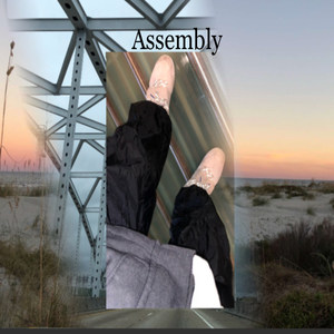 Assembly (Explicit)