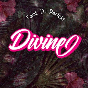 Divine (Remix) [feat. DJ Perfekt]