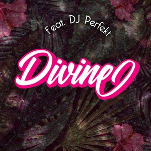 Divine (Remix|feat. DJ Perfekt)