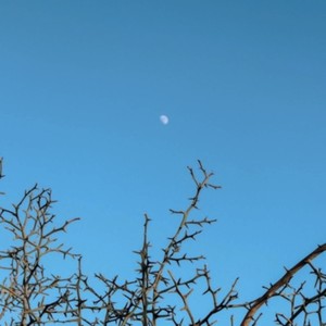 Stay With Me (Explicit)