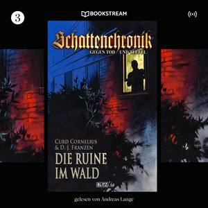 Die Ruine im Wald (Schattenchronik - Gegen Tod und Teufel 3)