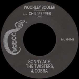 Wooleh Booleh b/w Chili Pepper