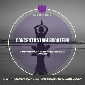 Concentration Boosters (Brainwave Music For Controlling Brain Impulses) (Meditation And Healing Music For Health And Wellness, Vol. 9)