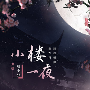 辰小弦 - 小楼一夜