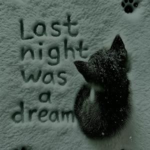 last night was a dream (feat. Øff-Licht) (Explicit)