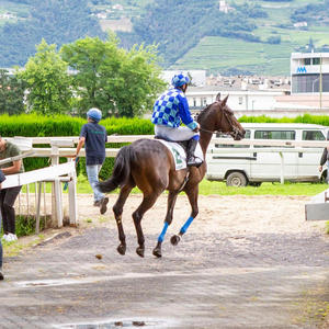 Thinking about You (Explicit)