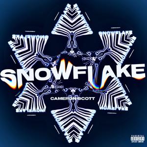 SNOWFLAKE (Explicit)