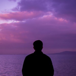 Zebra Sheets (Explicit)