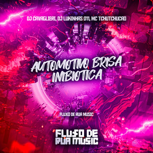 Automotivo Brisa Inibiotica (Explicit)