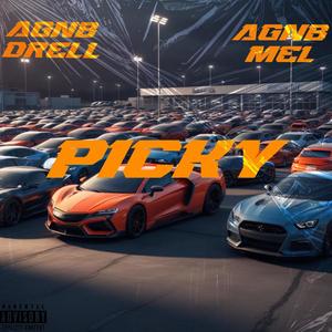 Picky (feat. AGNB Drell) [Explicit]