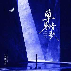 单身情歌 (DJ豪大大版)封面