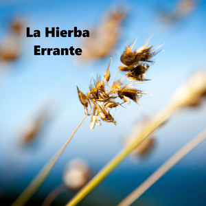 La Hierba Errante