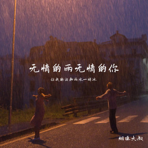 无情的雨无情的你(让我的泪和雨水一样冰)封面