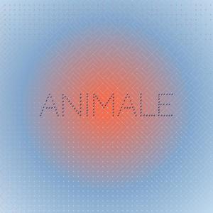 Animale