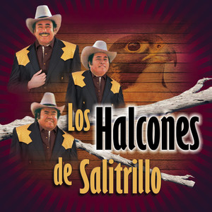 Los Halcones De Salitrillo